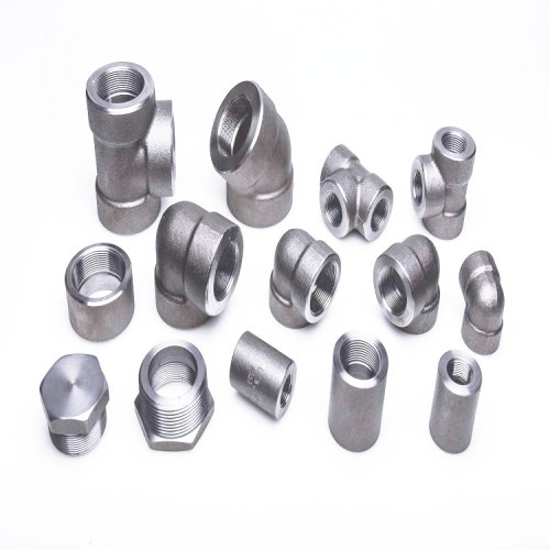 Forged Stainless Steel Fitting