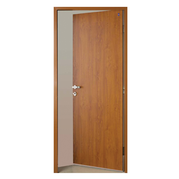 Wood Decor Steel Door