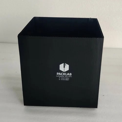 Disposable Polypropylene Box