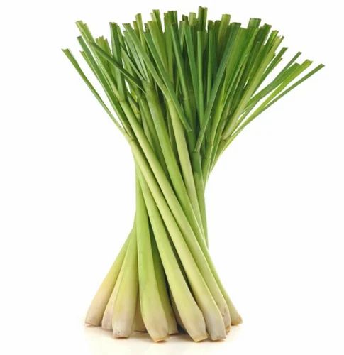 Lemon grass on sale for sale