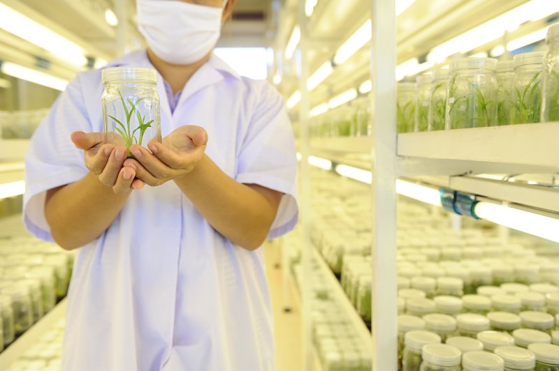 Plant Tissue Culture Agar Agar Manufacturer Exporter Supplier from Kochi India