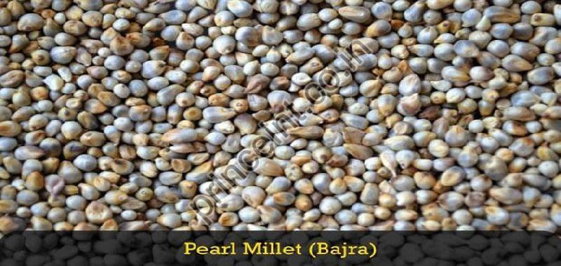 Pearl Millets