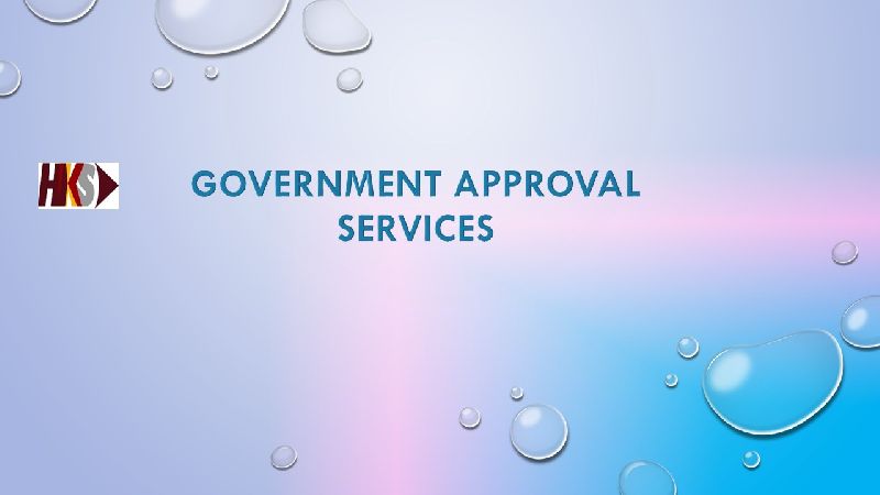 Government Approval Services