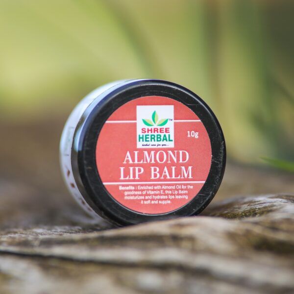 10g  SHREE Almond Lip Balm