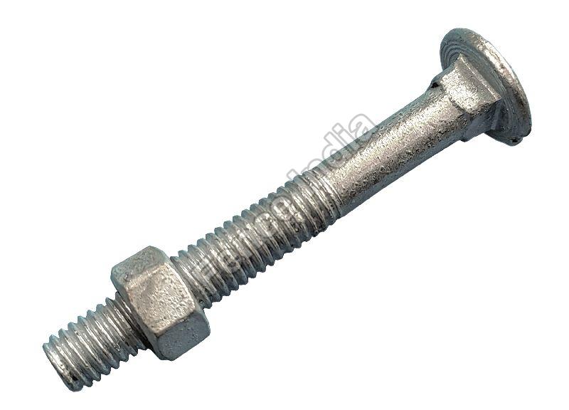 Carriage  Bolts and Nuts