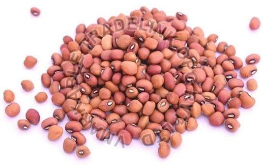 Organic Red Cowpea Beans
