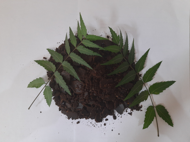 Neem Cake Fertilizer