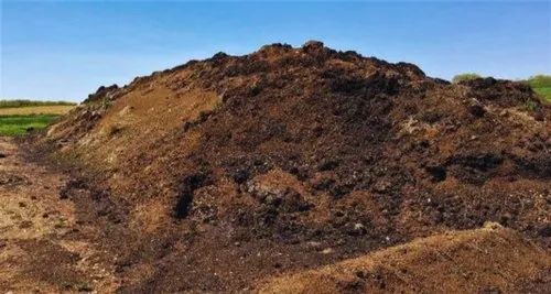 Organic Cow Dung