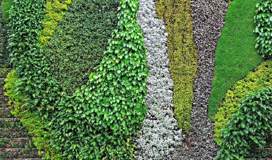Urban Greenery Solution Service