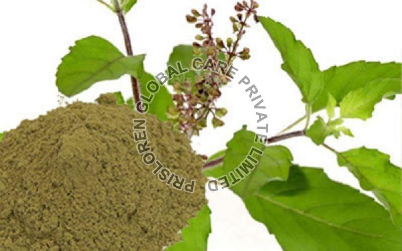 Tulsi Leaves Powder