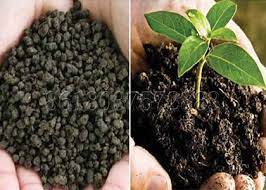 Organic Bio Fertilizer