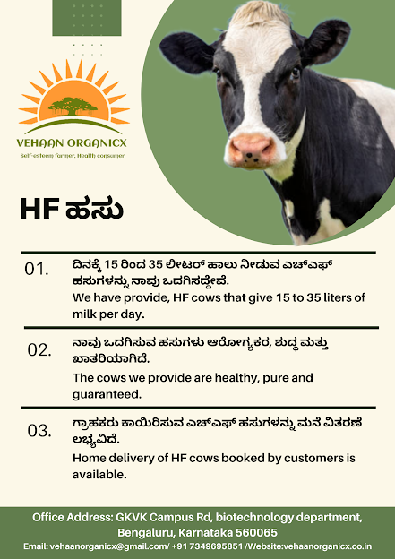 HF COW Specification