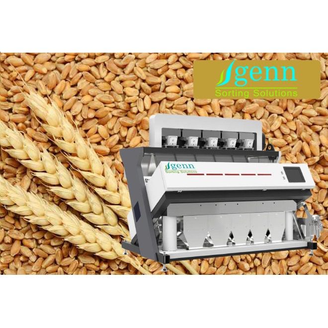 Wheat Color Sorter Machine