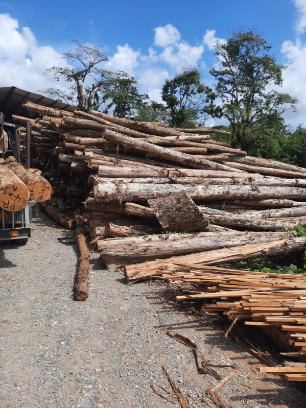 Rough Sawn Teak Timber Logs