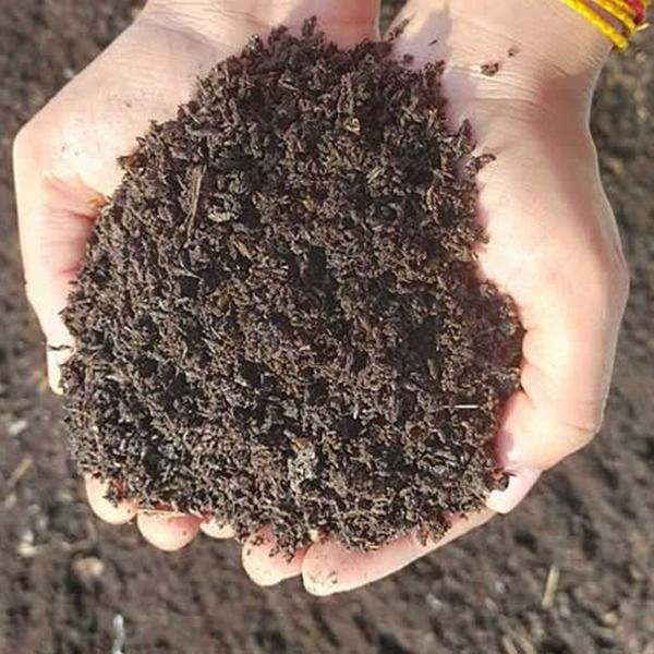 Natural Vermicompost Fertilizer