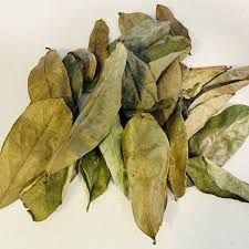 Dried Soursop Leaves