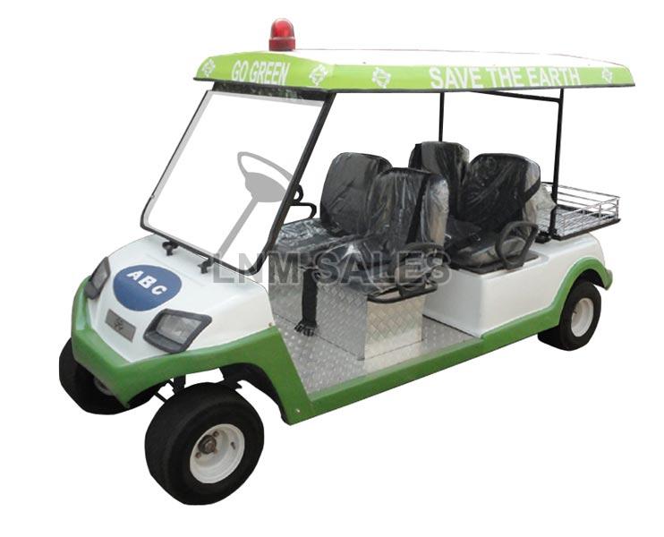 Golf Cart with Luggage Carrier