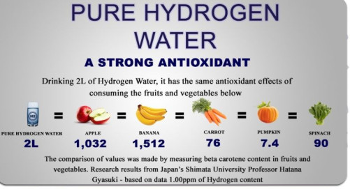 Antioxidant Hydrogen Rich Water