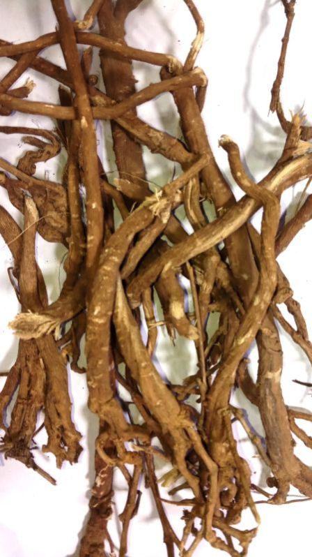 Punarnava Herb
