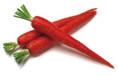 Fresh Red Carrot