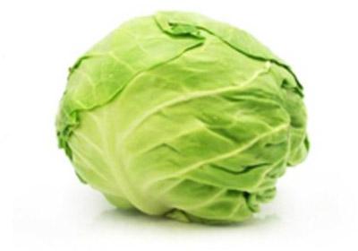 Fresh Round Cabbage
