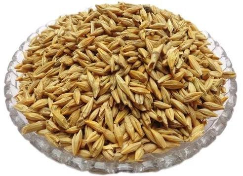 Hulled Barley Seeds