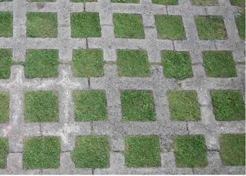 Grass Paver Block