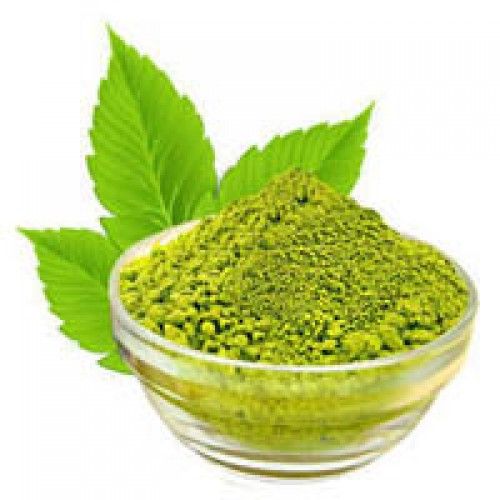 Basil Leaves Powder Manufacturer Supplier from Bhavnagar India