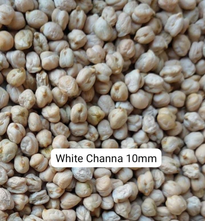 10 mm White Chickpeas
