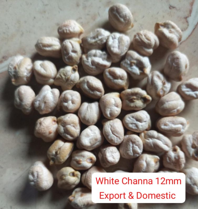 12 mm White Chickpeas