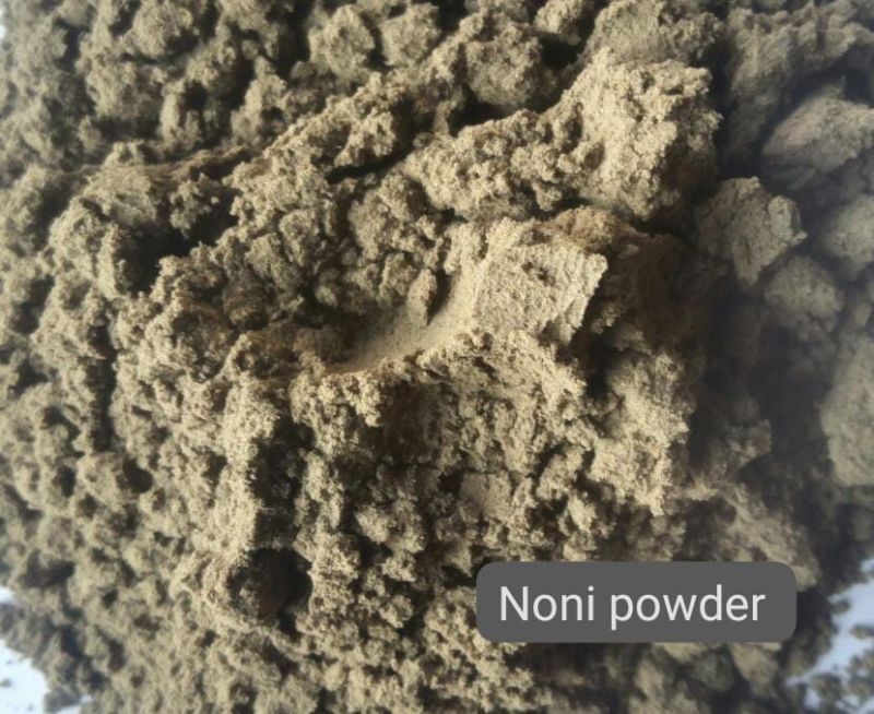 Noni Fruit Powder