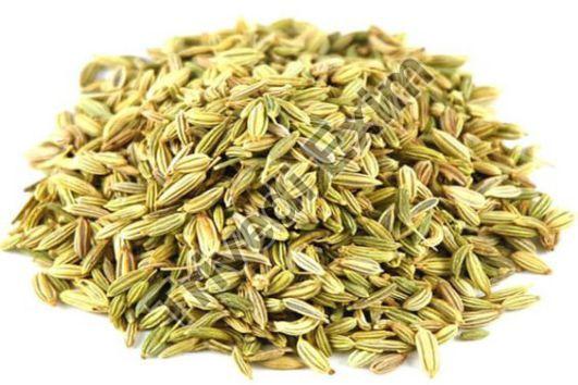 Fennel Seeds