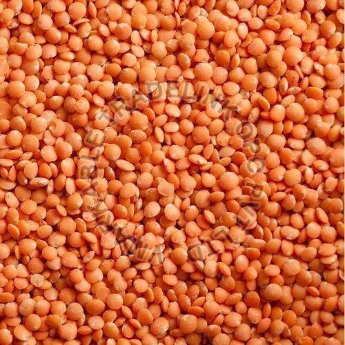 Organic Red Lentil