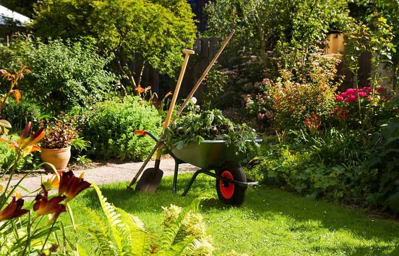Garden Landscaping Services