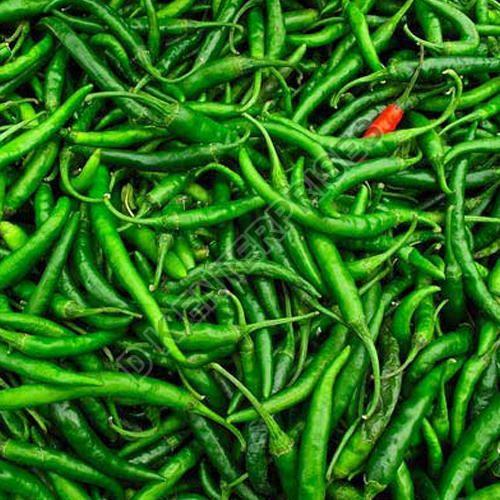 Fresh Green Chilli