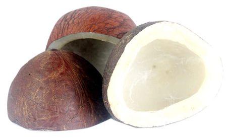 Dry Coconut