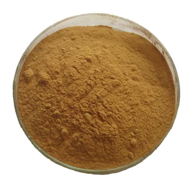 Coleus Herbal Extract Powder