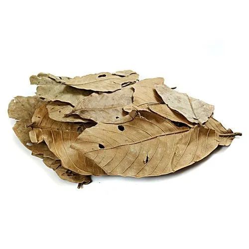 Dried Banaba Leaves