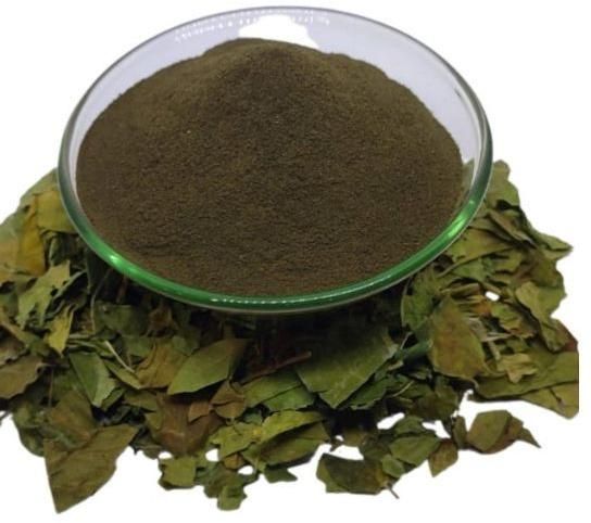 Gymnema Sylvestre Extract Powder