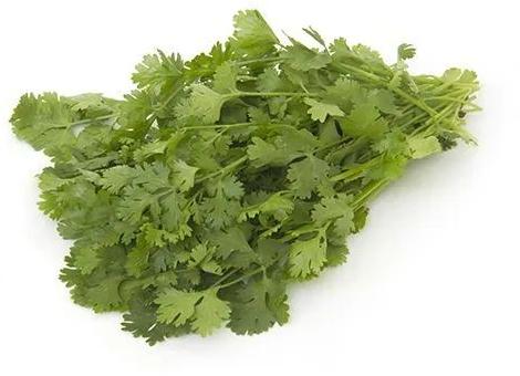 Frozen Coriander Leaves