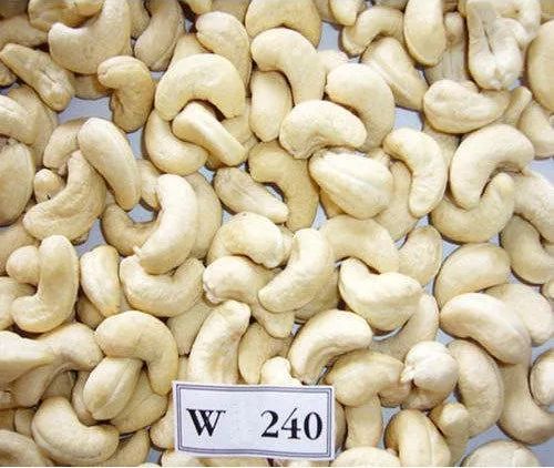 W240 Cashew Nuts