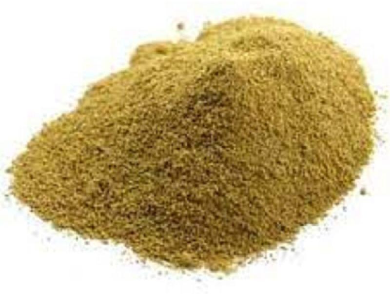 Coleus Extract Powder