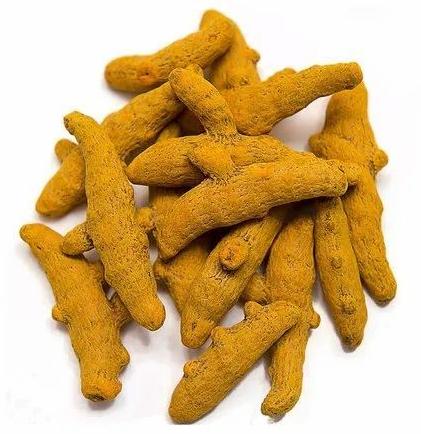 Selam Turmeric Finger