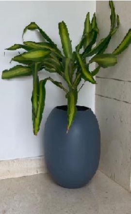 IVY FRP planters