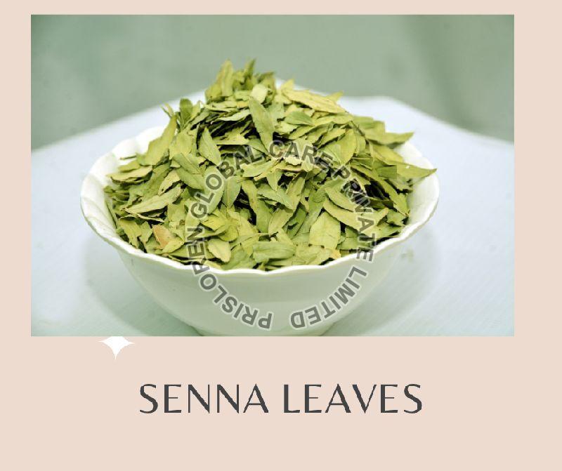 Senna Leaves