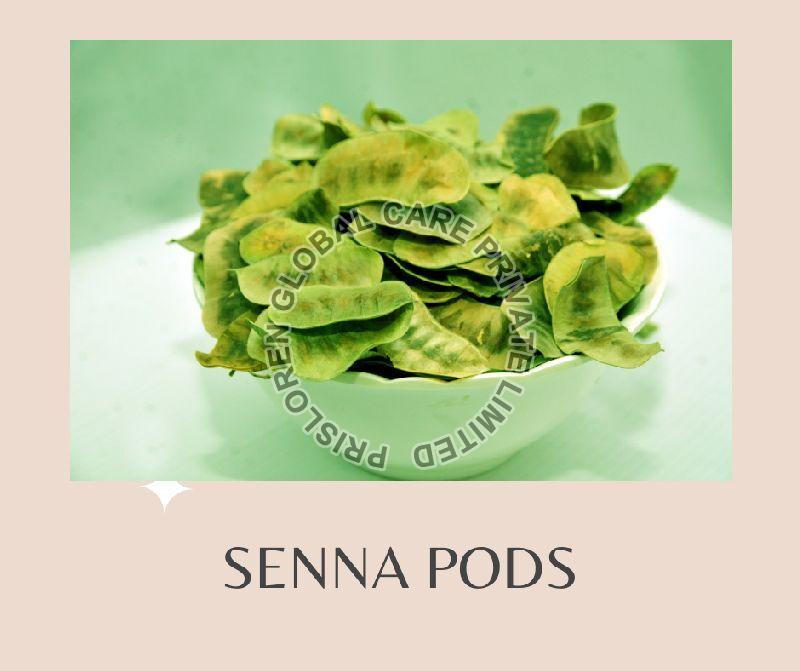 Senna Pods