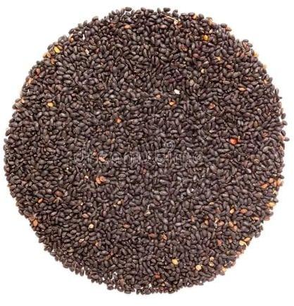 Organic Basil Seeds Manufacturer Supplier from Neemuch India