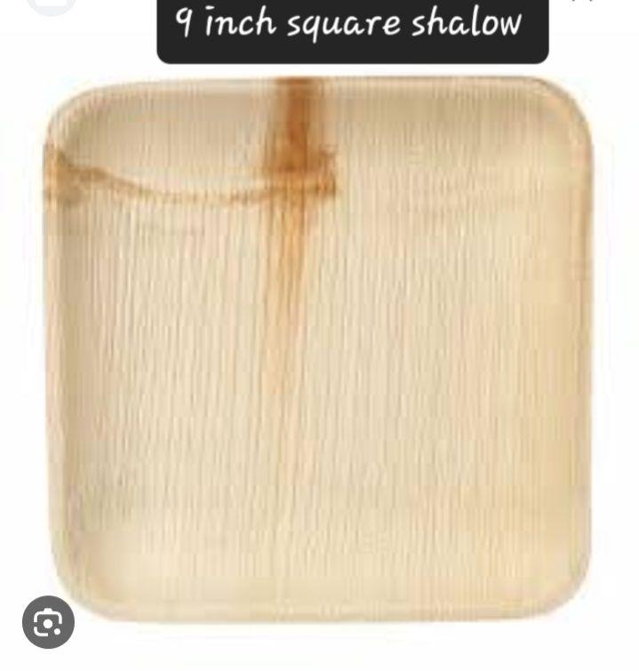 9 Inch Square Shallow Biodegradable Palm Leaf Plate