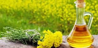 Mustard Oil