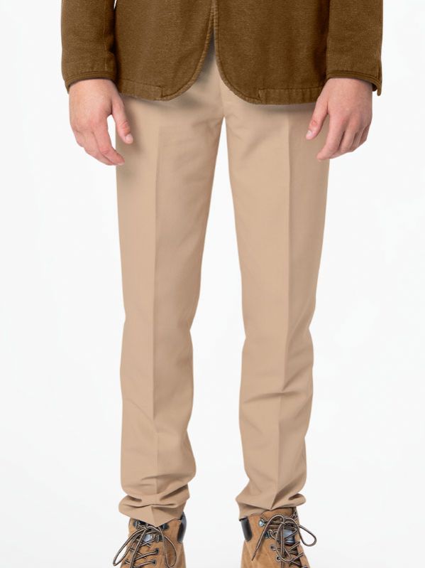 Multicolor Men Cotton Casual Pants, Tapered Fit at Rs 490 in New Delhi